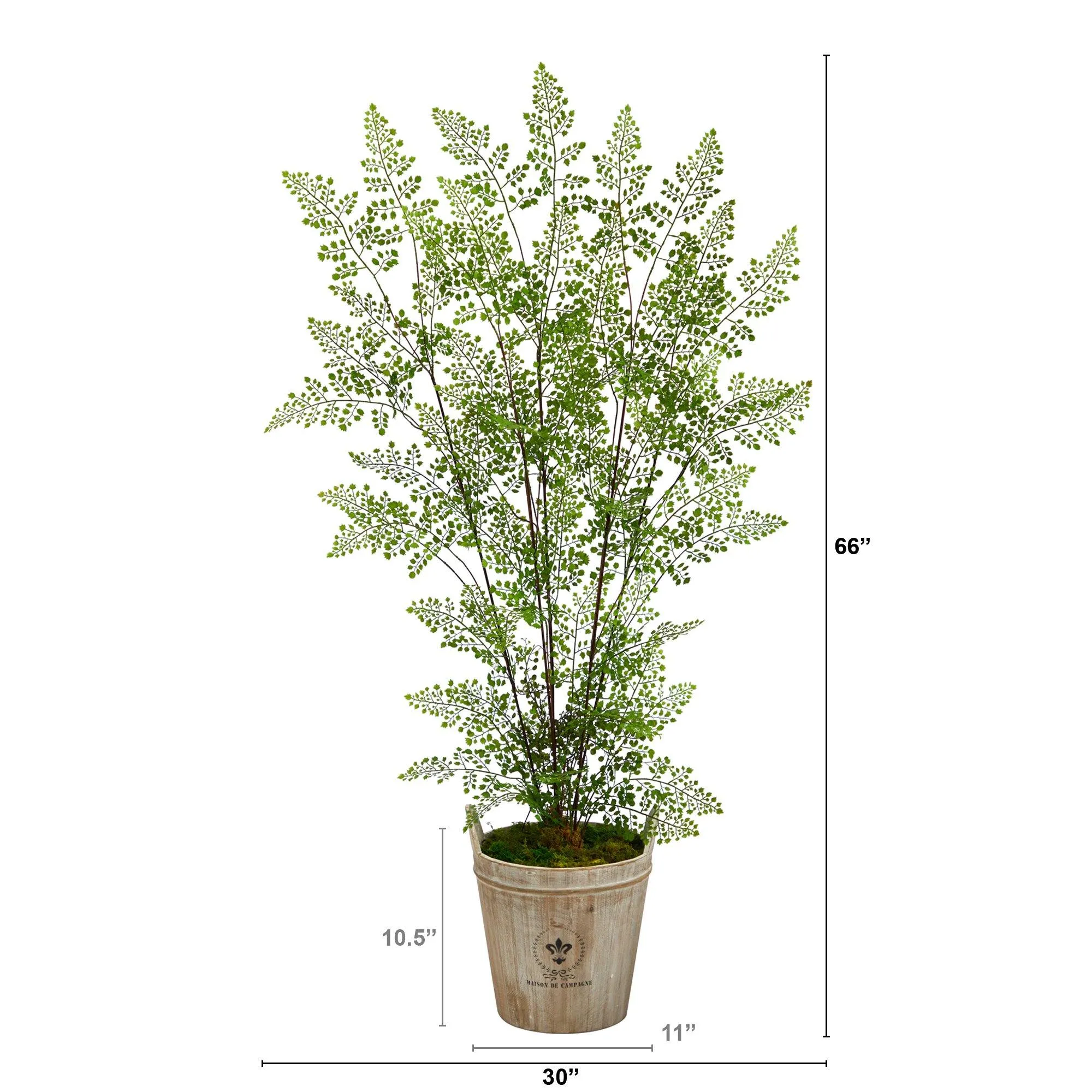 5.5’ Ruffle Fern Artificial Tree in Farmhouse Planter