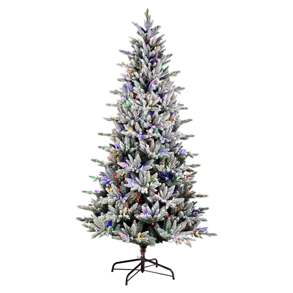 5.5' x 34" Flocked Vail Pine Artificial Christmas Tree Colored Dura-Lit LED