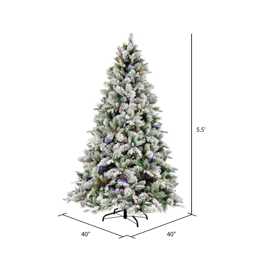 55' x 40" Flocked Ellis Pine Artificial Christmas Tree Colored Dura-Lit LED