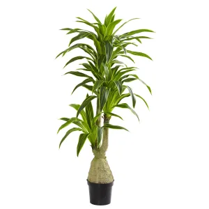 6.5 ft Artificial Dracaena Tree - Low Maintenance, Life-Like & Vibrant Silk Plants For Busy People.