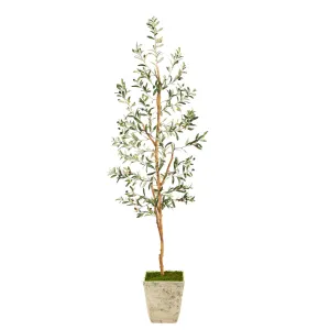 70” Olive Artificial Tree in Country White Planter