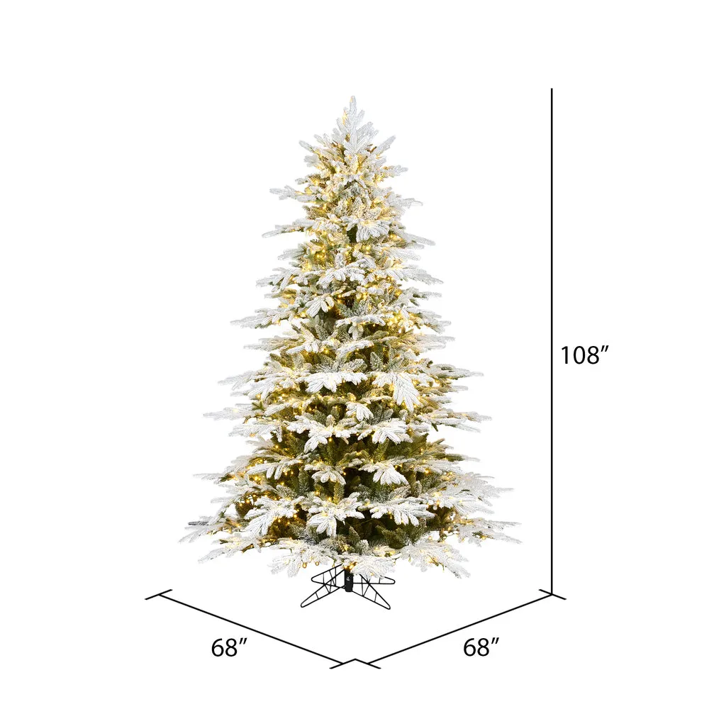 9' x 68" Flocked Kamas Fraser Artificial Christmas Tree Warm White Dura-Lit LED