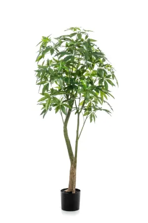 Artificial Money Trees - M (2) | Emerald Pachira