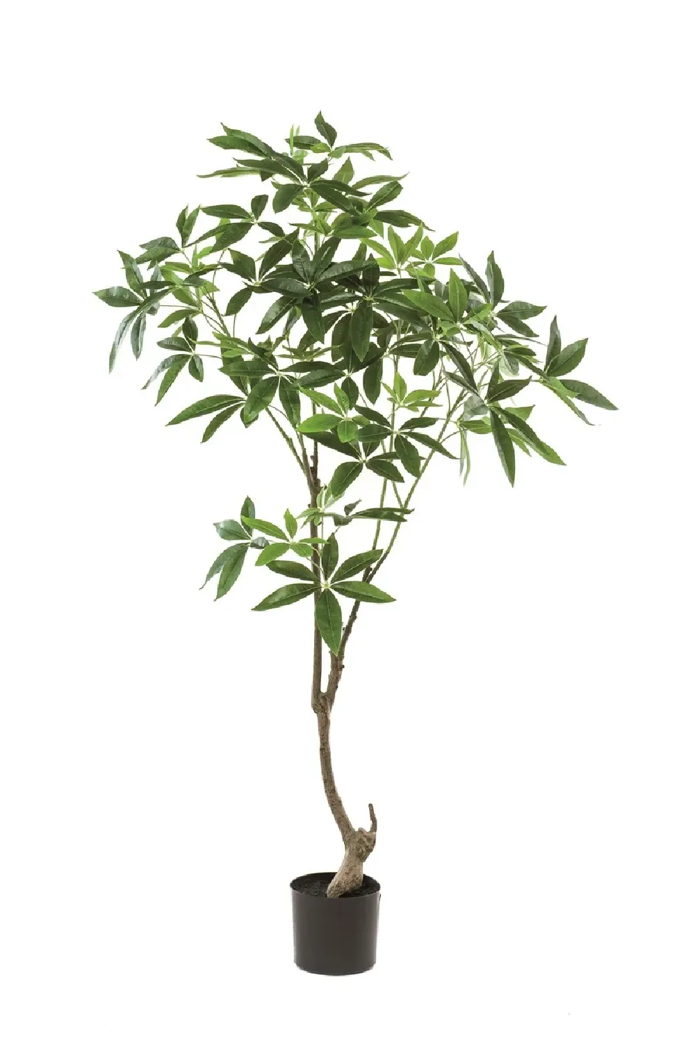 Artificial Money Trees - S (2) | Emerald Pachira