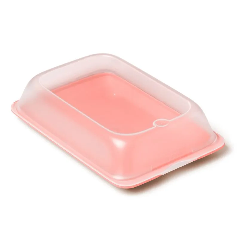 Cold Cuts Container Deep