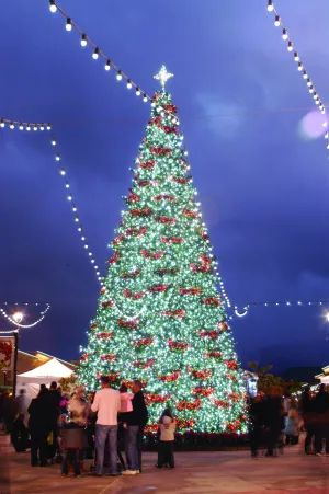 Giant Sequoia Tower Christmas Tree