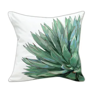 Green Agave Indoor Outdoor Pillow