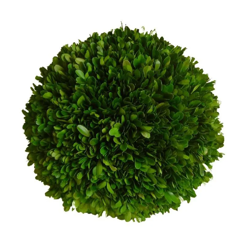 Preserved Boxwood Ball - 8"