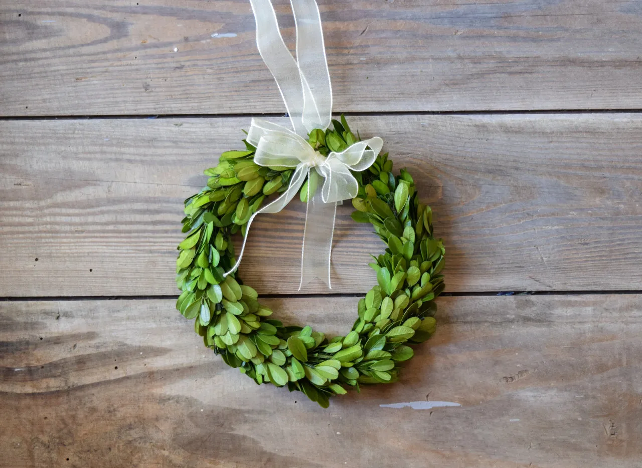 Preserved Boxwood Round Wreath - 8 Inch - Set of 2