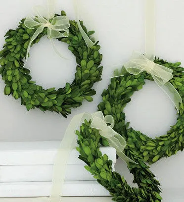 Preserved Boxwood Round Wreath - 8 Inch - Set of 2