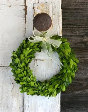 Preserved Boxwood Round Wreath - 8 Inch - Set of 2