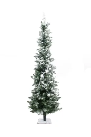 Snow Flocked Pencil Tree